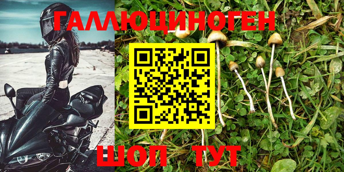 где купить наркоту  Вход с VPN  Нефтекамск  Галлюциногенные грибы Cubensis 